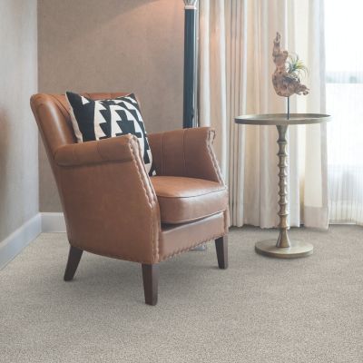 beige carpets in a Morgantown living room