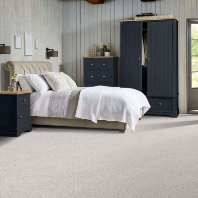 carpet in a stylish living room